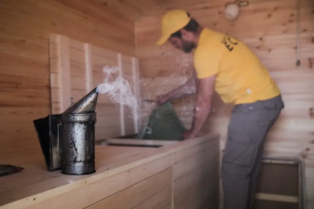 Apiterapie – inhalații și terapie